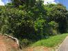 Photo de l'annonce Terrain Agricole bordure de route Rn1 Macouria Guyane #0