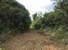 Photo de l'annonce terrain agricole proche de l'Orapu Roura Guyane #1