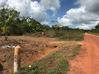 Photo de l'annonce terrain agricole proche de l'Orapu Roura Guyane #3