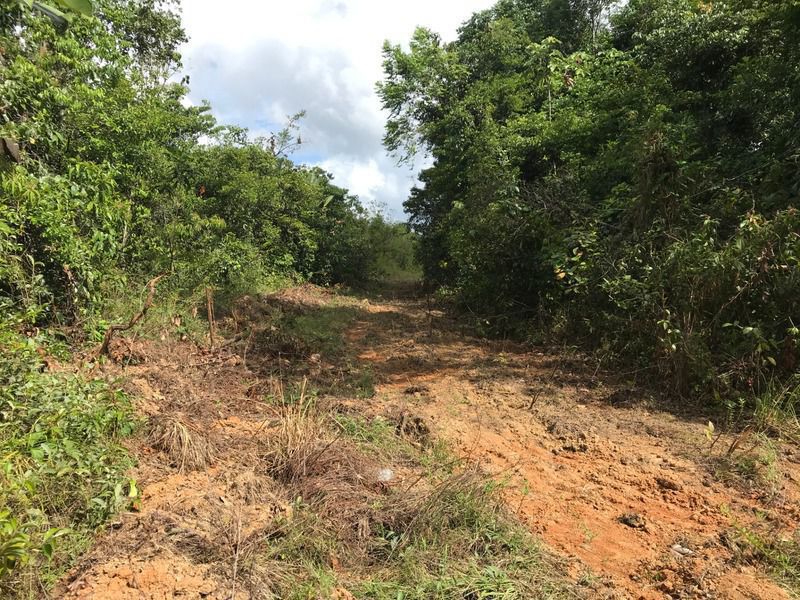 rivière de guyane 5 lettres