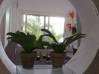 Photo for the classified Candle Tree Villa, Rental in Simpson Bay SXM Simpson Bay Sint Maarten #97