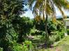 Photo de l'annonce Le Lamentin Palmiste terrain -. Le Lamentin Martinique #1