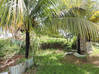 Photo de l'annonce Beau terrain de 592 m² Le Lamentin Martinique #5