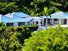 Photo de l'annonce Magnifique Villa surplombant la mer Anse Marcel Saint-Martin #1