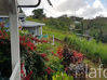 Photo de l'annonce Ste Luce villa f3 et bungalow de 73 m². Sainte-Luce Martinique #9