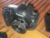 Photo for the classified Canon 5D Mark III lens 40 mm 2. 8 Saint Martin #1