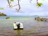 Photo de l'annonce Maison au bord de l'eau - Pointe La. Le Robert Martinique #5