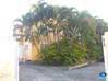 Photo de l'annonce Appartement - Cluny - Fort de France -... Fort-de-France Martinique #1