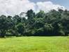 Foto do anúncio Matoury terrain Matoury Guiana Francesa #0