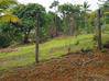 Photo de l'annonce Terrain 1705m2 La chaumiere Matoury 139. Matoury Guyane #1