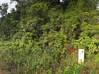 Photo de l'annonce Terrain agricole Roura Roura Guyane #0