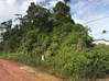 Photo de l'annonce Terrain agricole Roura Roura Guyane #1
