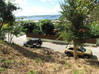 Photo de l'annonce Almond Grove, Land For Sale, St. Maarten Almond Grove Estate Sint Maarten #33