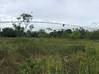 Photo de l'annonce Terrain agricole Macouria Macouria Guyane #0