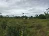 Photo de l'annonce Terrain agricole Macouria Macouria Guyane #1