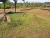 Photo de l'annonce Macouria terrain - Terrain de... Macouria Guyane #0