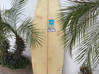 Photo de l'annonce Planche de surf Venon Saint-Martin #0