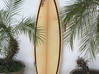 Photo de l'annonce Planche de surf Venon Saint-Martin #1