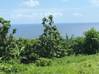 Photo de l'annonce La Trinite terrain - Terrain de... La Trinité Martinique #0