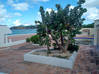 Photo for the classified Lowlands Beachfront 4 Br Terres Basses Saint Martin #3