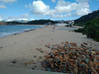 Photo for the classified Lowlands Beachfront 4 Br Terres Basses Saint Martin #18