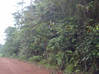 Photo de l'annonce Terrain agricole Macouria Guyane #0