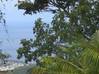 Photo de l'annonce Fort De France terrain vue mer Fort-de-France Martinique #0