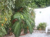 Photo for the classified Almond Grove Est - Must see family house with apt Almond Grove Estate Sint Maarten #14