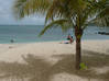 Photo for the classified Studio for rent year-round in Saint Martin 97150 Marigot Saint Martin #1