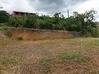 Photo de l'annonce Terrain constructible à Saint Joseph Saint-Joseph Martinique #9