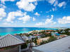 Lijst met foto Mediterrane Villa, Pelikaan St. Maarten SXM Pelican Key Sint Maarten #12