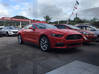 Photo for the classified Ford Mustang 50th Anniversary Numbered Model Saint Martin #0