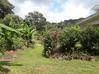 Photo de l'annonce Villa F5 sur 1500 m2, à restaurer La Trinité Martinique #6