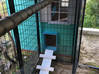 Photo for the classified home for chickens Saint Barthélemy #0