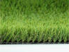 Photo for the classified 30mm synthetic turf Saint Barthélemy #2