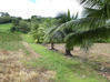 Photo de l'annonce Le Lorrain terrain constructible Le Lorrain Martinique #0