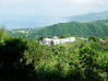Photo de l'annonce Le Morne Vert terrain de 3 hect 800 Le Morne-Vert Martinique #3