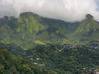 Photo de l'annonce Le Morne Vert terrain de 3 hect 800 Le Morne-Vert Martinique #4