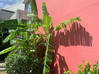 Photo for the classified Apartment for rent saint martin,holy... Saint Martin #0