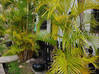 Lijst met foto Koolbay Villa: 2 slaapkamer huis en tuin Cole Bay Sint Maarten #1