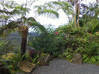 Photo de l'annonce Propriété de forêt tropicale avec une vue Laudat Dominique #2