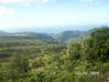 Photo de l'annonce Propriété de forêt tropicale avec une vue Laudat Dominique #3