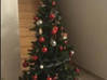 Photo for the classified Christmas tree and decoration Saint Martin #0
