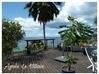 Photo de l'annonce Maison T4 vue mer Panoramique Pointe-Noire Guadeloupe #28
