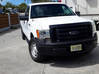 Photo for the classified FORD PICK UP 150 Saint Martin #0