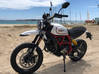 Photo de l'annonce Ducati Scrambler Desert Sled Saint-Martin #0