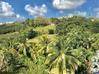 Photo de l'annonce Villa - Grande Savane - Ducos - 3... Ducos Martinique #1