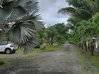 Photo de l'annonce Carapa : maison en location pour grande... Montsinéry-Tonnegrande Guyane #2