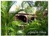 Photo de l'annonce Propriété de 5 villas en bois rouge et... Bouillante Guadeloupe #0