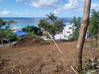 Photo de l'annonce Terrain - Pelican - Saint-Martin Pelican Key Sint Maarten #12